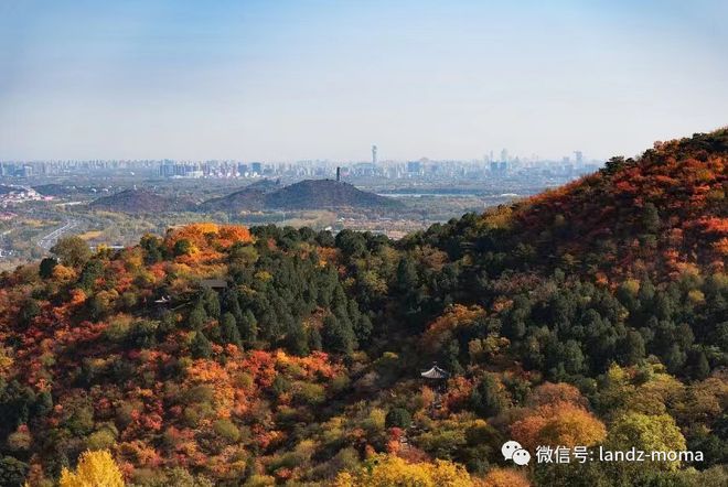 2025大苑海淀府丨大苑海淀府售楼处官方网站-最新发布-彩神vll房源房价!(图2)