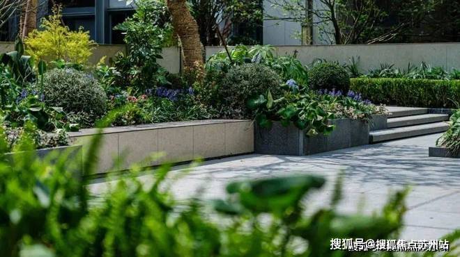 彩神vll®金地嘉境2025 嘉定金地嘉境-官方售楼处发布：备受市场关注(图15)
