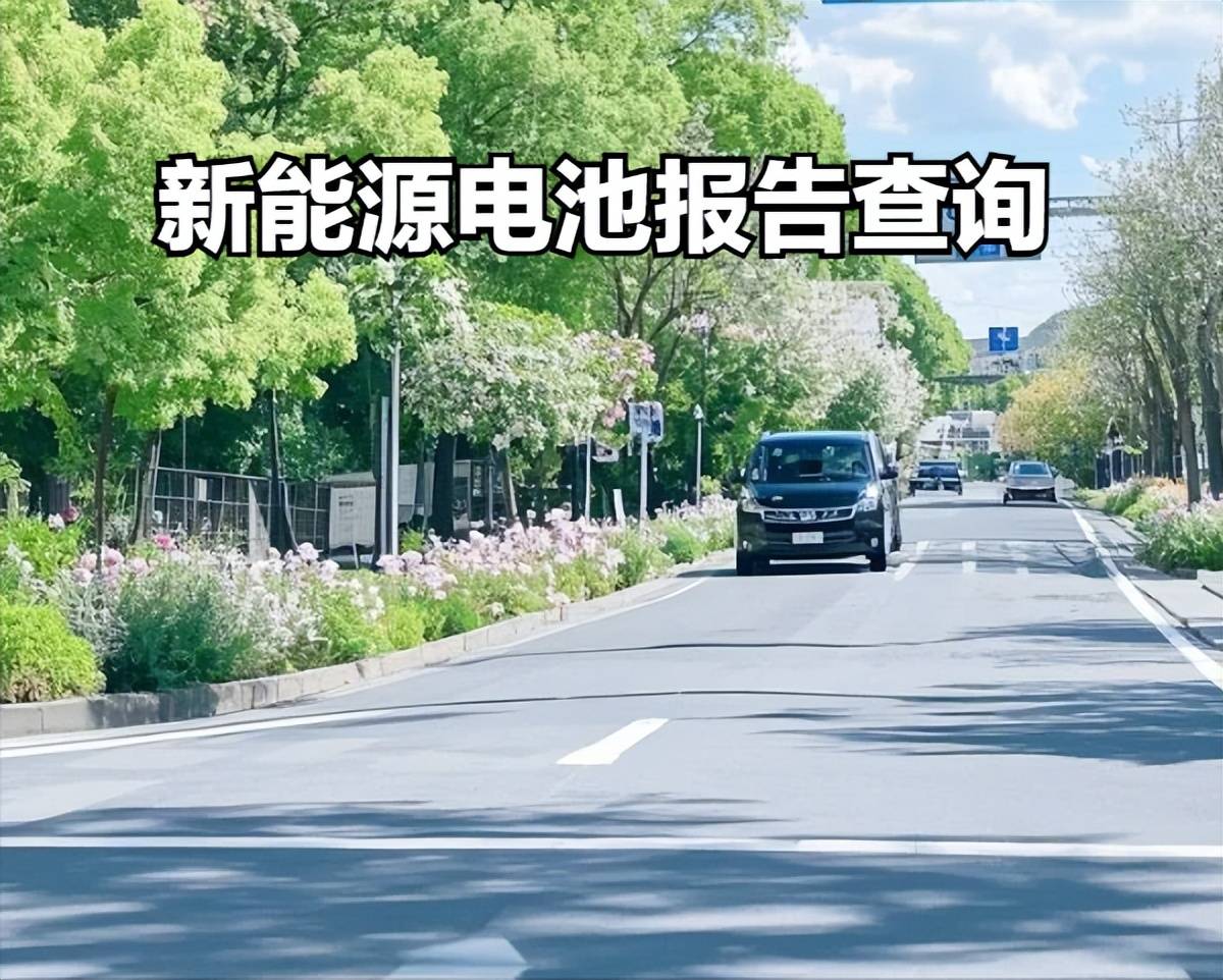 彩神vll新能源电池报告获取攻略：四大途径轻松掌握电池状态！(图1)