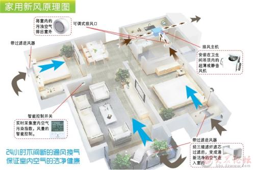 文化盛宴点亮彩神vll端午佳节